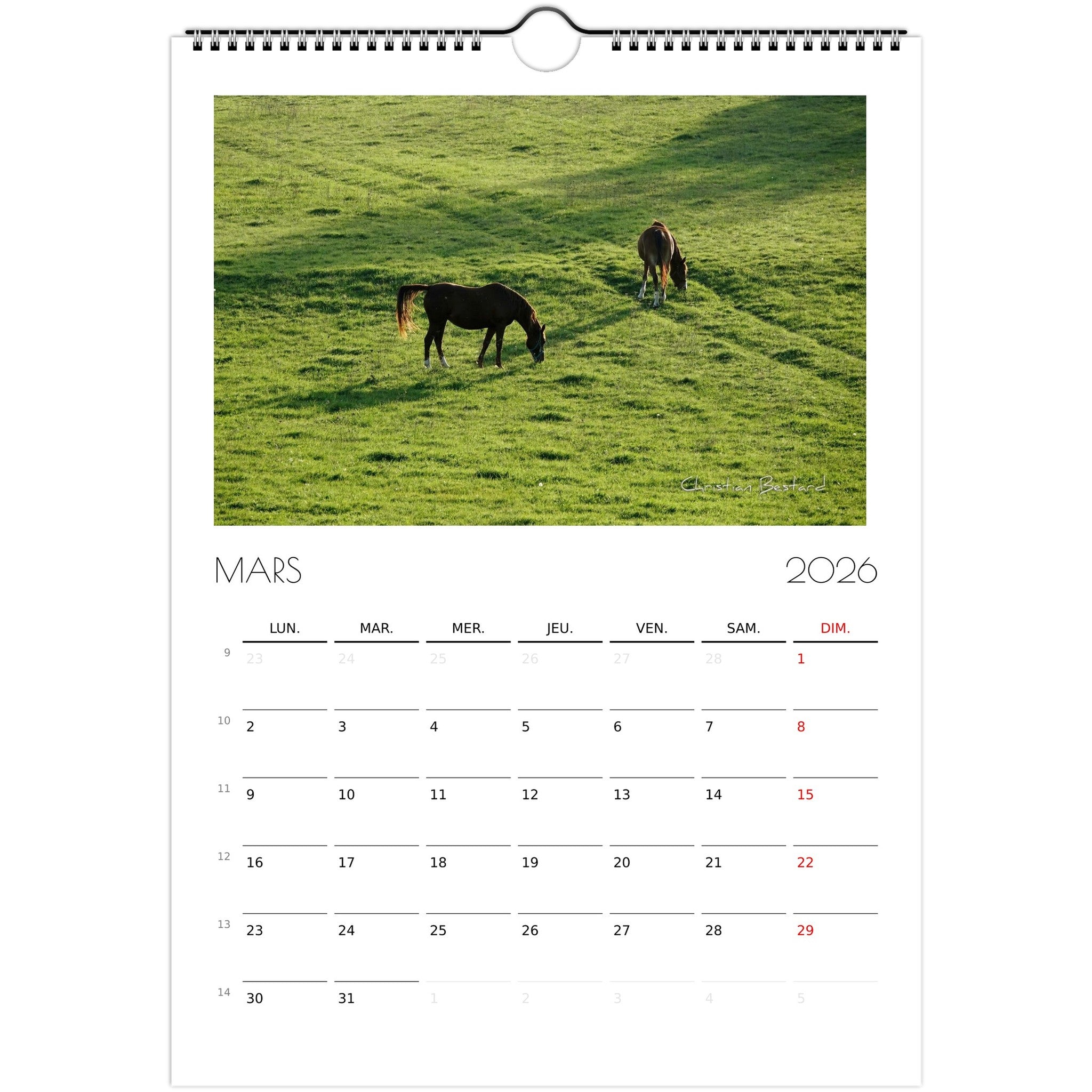 094b67a1-0d28-4853-8a35-b63428ba64be