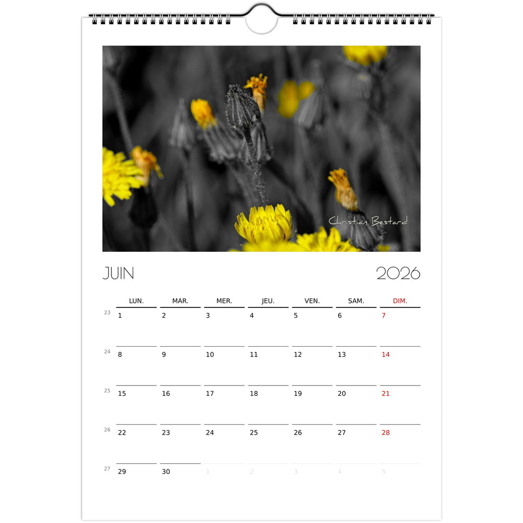 20ef2b58-17ea-477b-9274-26ec98f16966