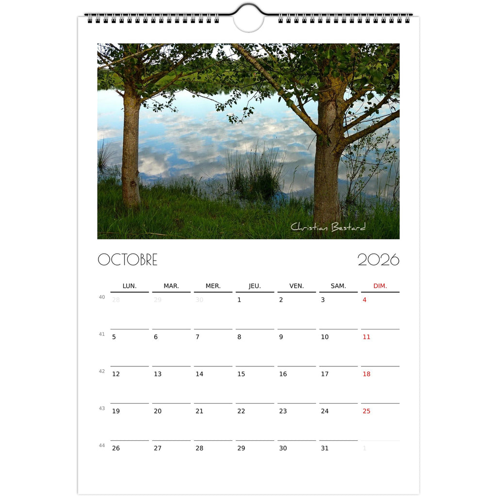 6593af19-5ea3-4e98-94db-7d411eefecdb