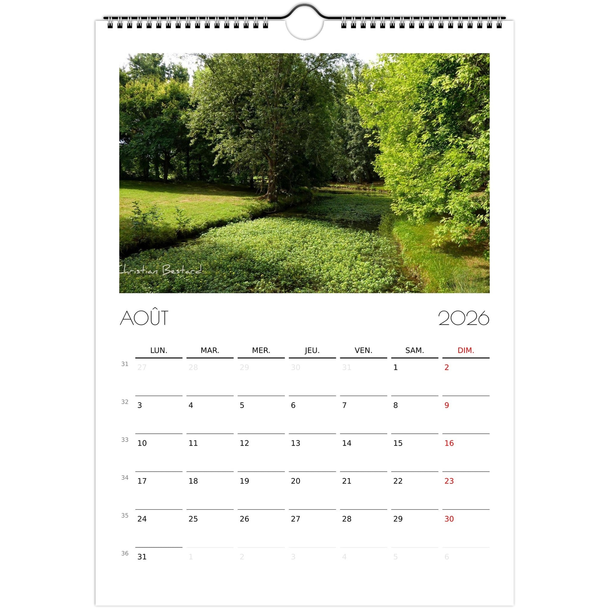 9e1cd0e1-b35c-4ca7-9de7-1139d6ff2ced