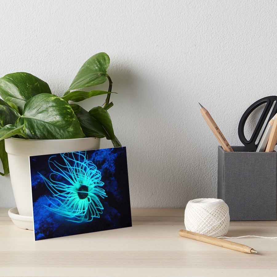 Impression photo  Algue sous marine