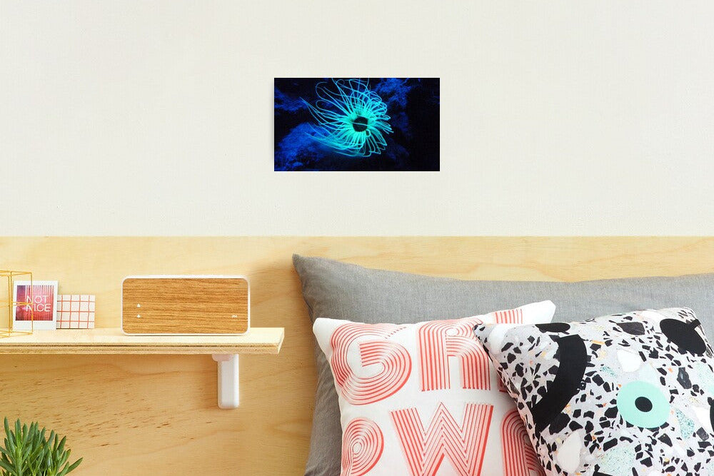 Poster photo Algue sous marine