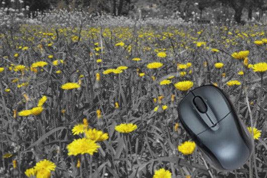 Tapis de souris Camps de fleurs