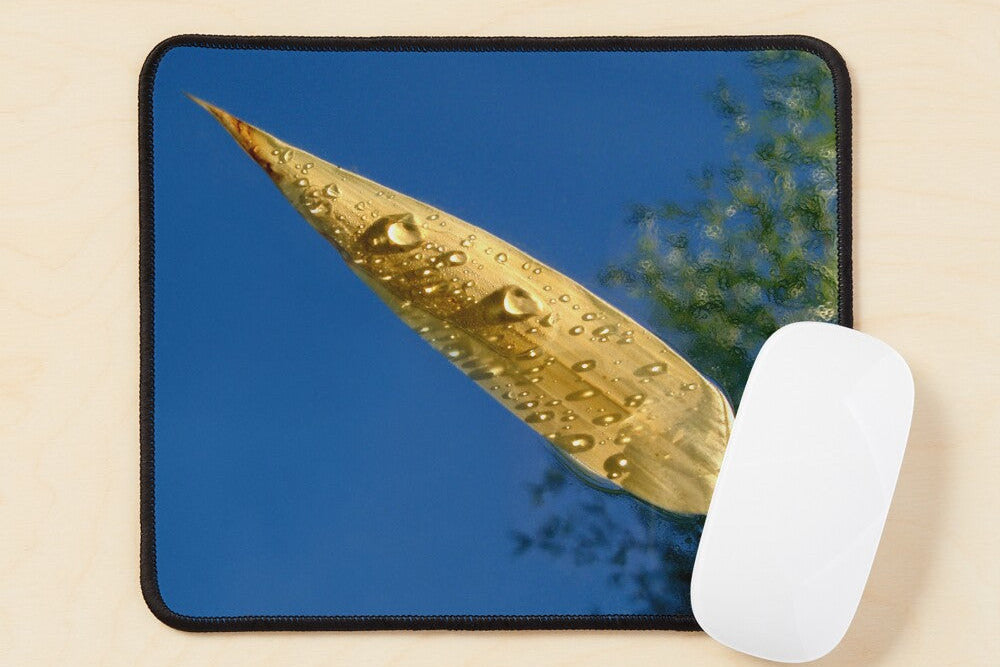 Tapis de souris Feuille sur l'eau