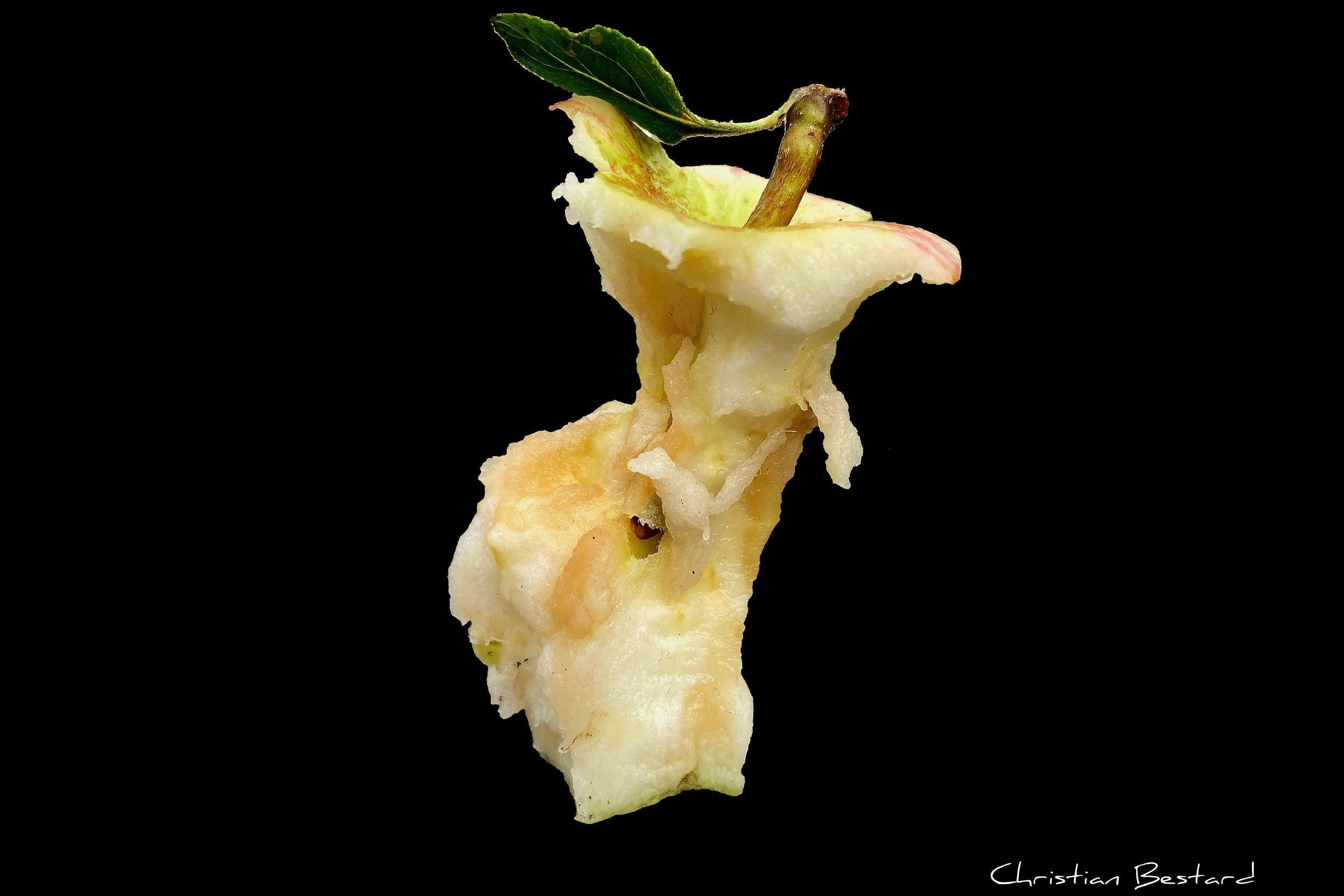 Impression photo  Trognon de pomme