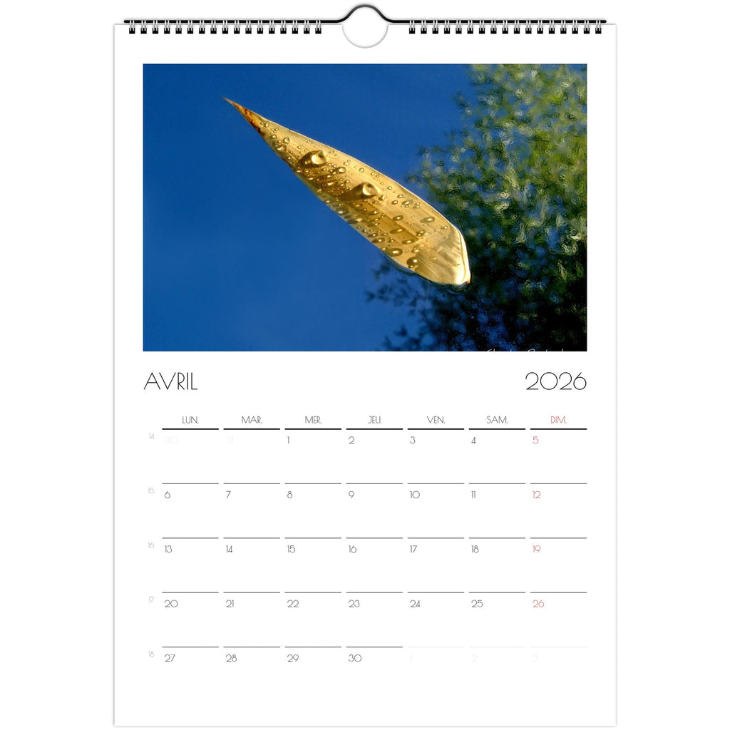 a7eca865-c195-4890-9196-e0f7ae792264